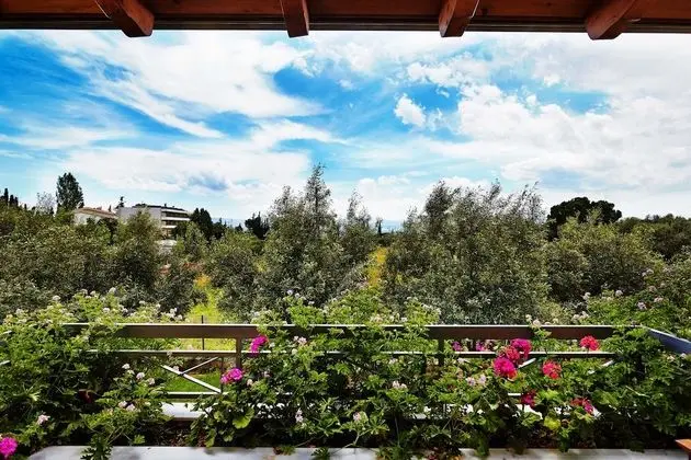 Standard Tek Büyük veya İki Ayrı Yataklı Oda, Bahçe Manzaralı
