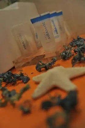 Superior Tek Büyük veya İki Ayrı Yataklı Oda, Deniz Manzaralı