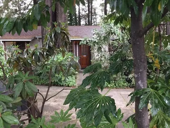 Cabin 2