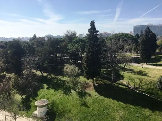 İki Ayrı Yataklı Oda, Park Manzaralı