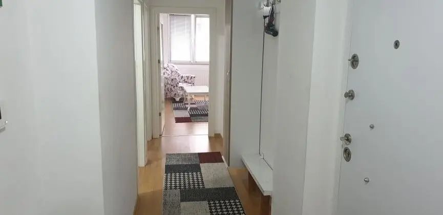 1+1