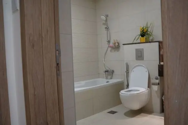 315 Fully Furnished 1BHK Apartment