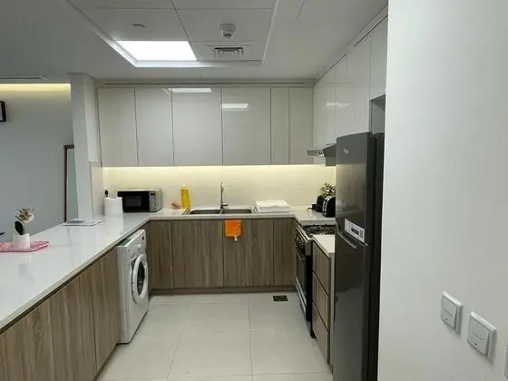 315 Fully Furnished 1BHK Apartment