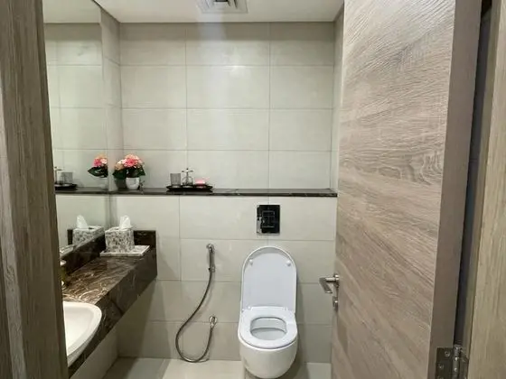 315 Fully Furnished 1BHK Apartment