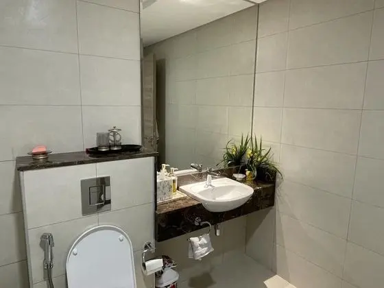 315 Fully Furnished 1BHK Apartment