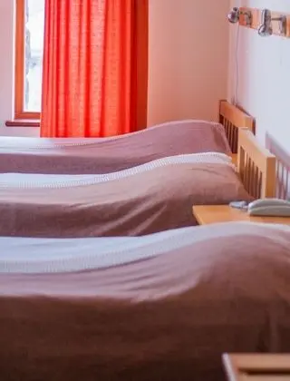 Family Üç Kişilik Oda, 3 Tek Kişilik Yatak, Sigara İçilmez, Dağ Manzaralı