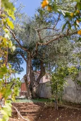 Apart Daire (Mirica - close to the beach - A1(4))