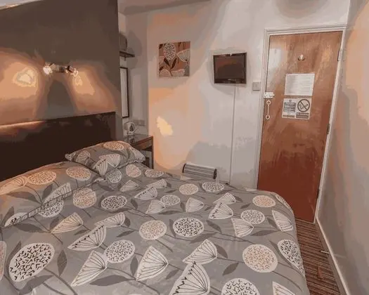 Tek Büyük Yataklı Oda, Ortak Banyo (Attic)