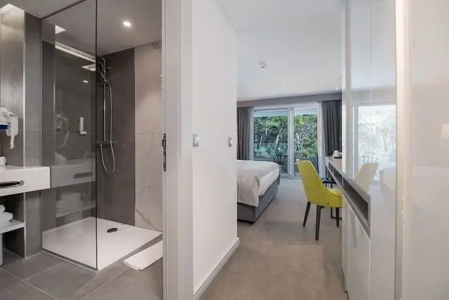 Standard Tek Büyük Yataklı Oda, Park Manzaralı