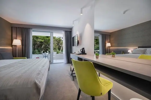 Standard Tek Büyük Yataklı Oda, Park Manzaralı