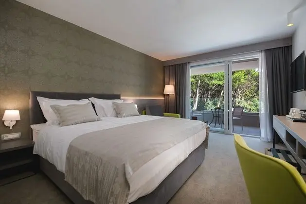 Standard Tek Büyük Yataklı Oda, Park Manzaralı