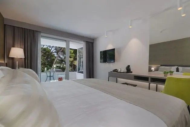 Standard Tek Büyük Yataklı Oda, Park Manzaralı