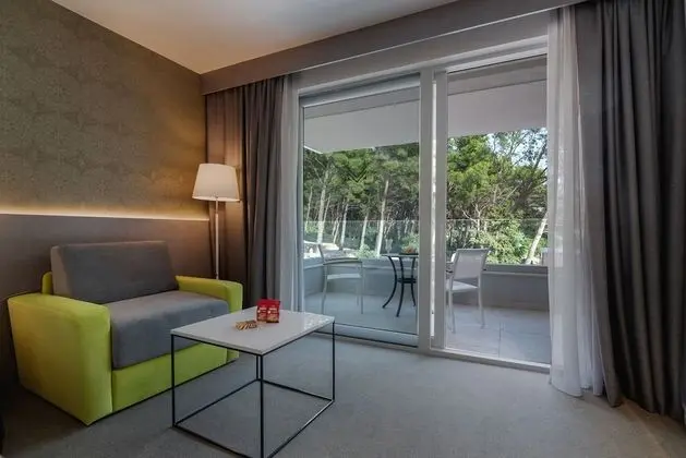 Standard Tek Büyük Yataklı Oda, Park Manzaralı