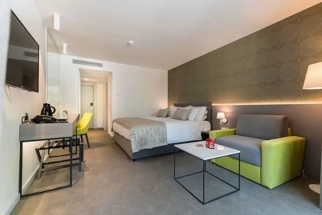 Standard Tek Büyük Yataklı Oda, Park Manzaralı