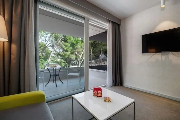 Standard Tek Büyük Yataklı Oda, Park Manzaralı