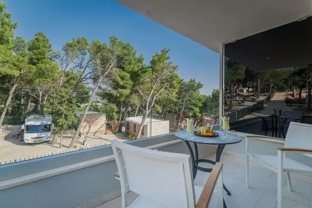 Standard Tek Büyük Yataklı Oda, Park Manzaralı