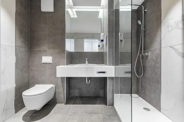 Standard Tek Büyük Yataklı Oda, Park Manzaralı