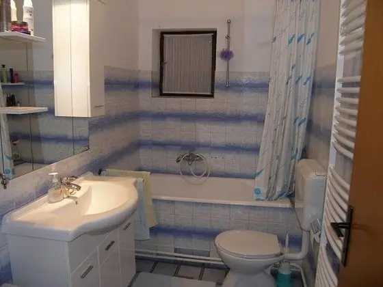 Apart Daire (Mirko - 100m from beach - A1(4+3))