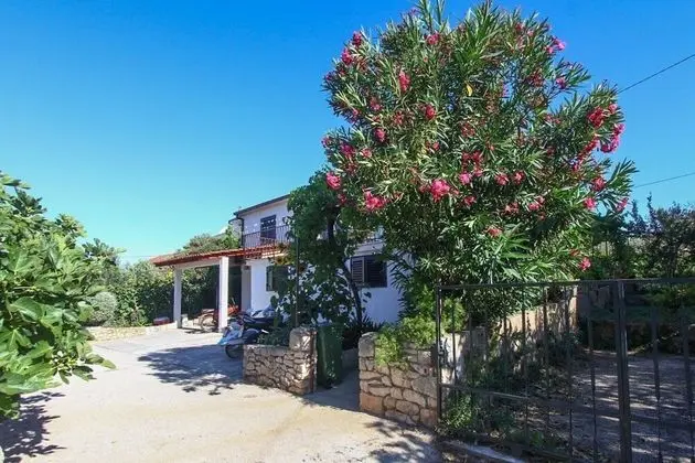 Apart Daire (Miro - 3 Bedroom apartment - A1(6+1))