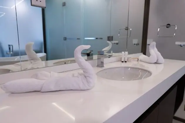 Deluxe Süit, 1 Yatak Odası