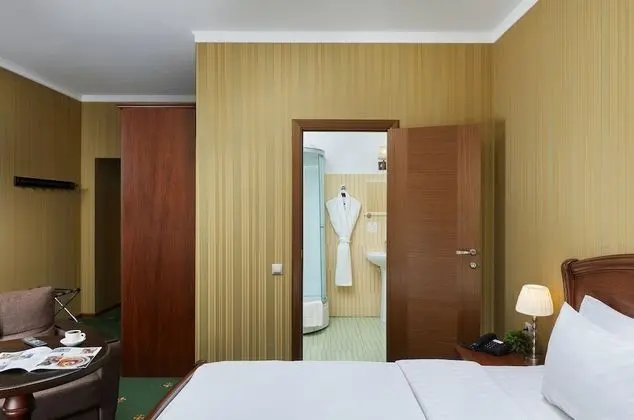 Superior Oda, 1 Çift Kişilik Yatak, Şehir Manzaralı