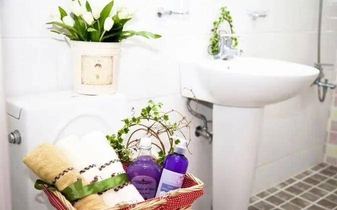 Oda (Saddle WITH BIRDS)