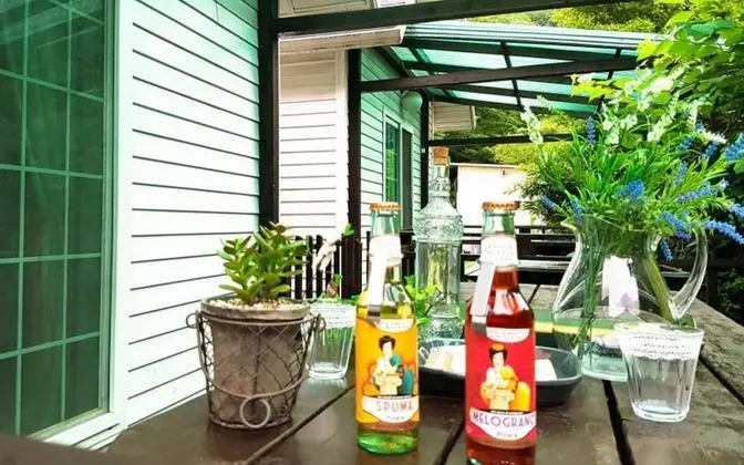 Oda (Saddle WITH BIRDS)