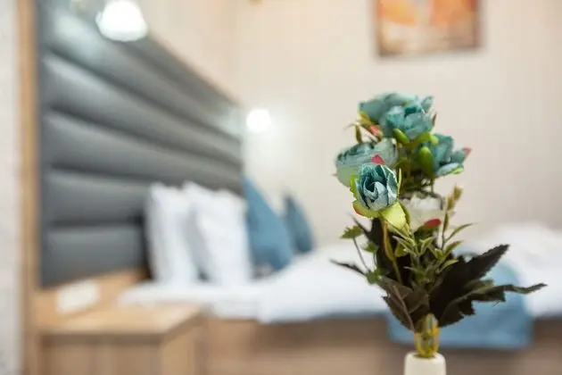 Deluxe Tek Büyük veya İki Ayrı Yataklı Oda
