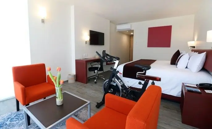 Luxury Oda, 1 En Büyük (King) Boy Yatak