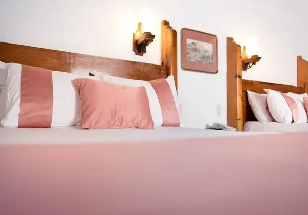 Room (Dog Friendly)