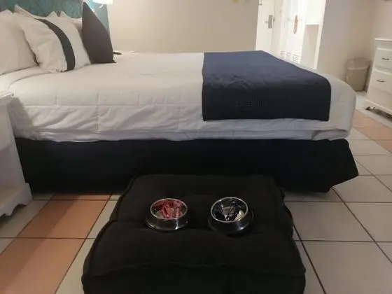 Room (Dog Friendly)