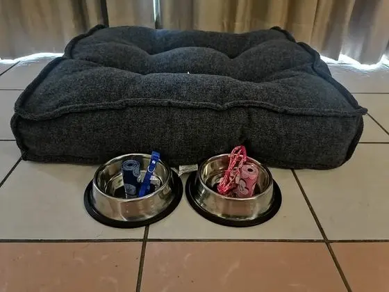 Room (Dog Friendly)