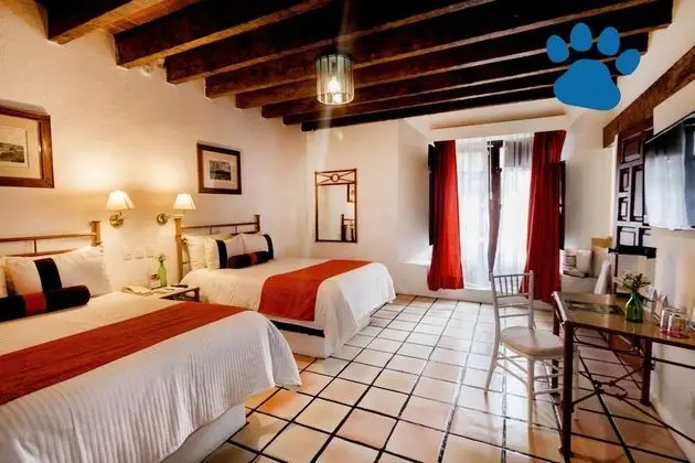 Room (Dog Friendly)