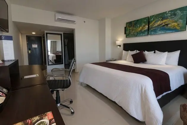 Deluxe Oda, 1 En Büyük (King) Boy Yatak