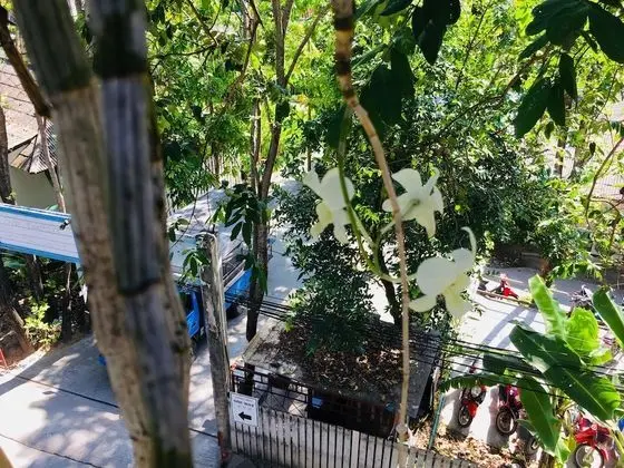 Family Dört Kişilik Oda, 2 Çift Kişilik Yatak