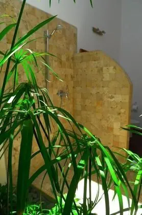 Deluxe Tek Büyük Yataklı Oda, 1 Yatak Odası, Havuz Manzaralı