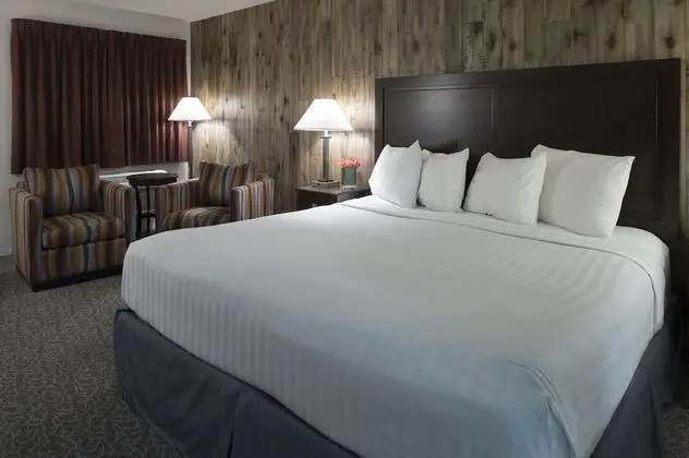 Oda, 1 En Büyük (King) Boy Yatak ve Çekyat, Sıcak Su Küveti (Sofa Bed)