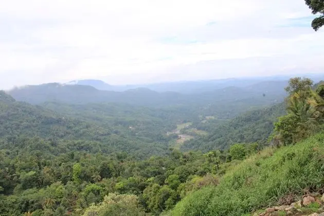 Deluxe Oda, 1 Yatak Odası, Dağ Manzaralı