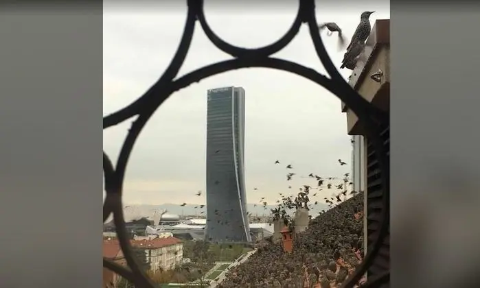 Business Süit, 1 Yatak Odası, Balkon, Şehir Manzaralı