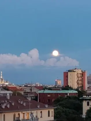 Business Süit, 1 Yatak Odası, Balkon, Şehir Manzaralı