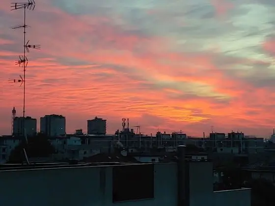 Comfort Tek Büyük veya İki Ayrı Yataklı Oda, 1 Yatak Odası, Teras, Executive Katı