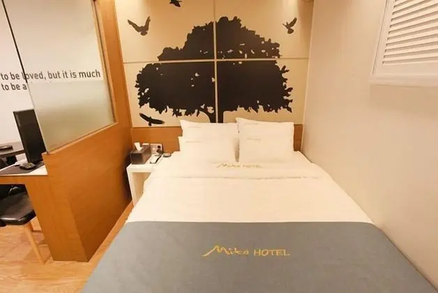 Premium Tek Büyük Yataklı Oda