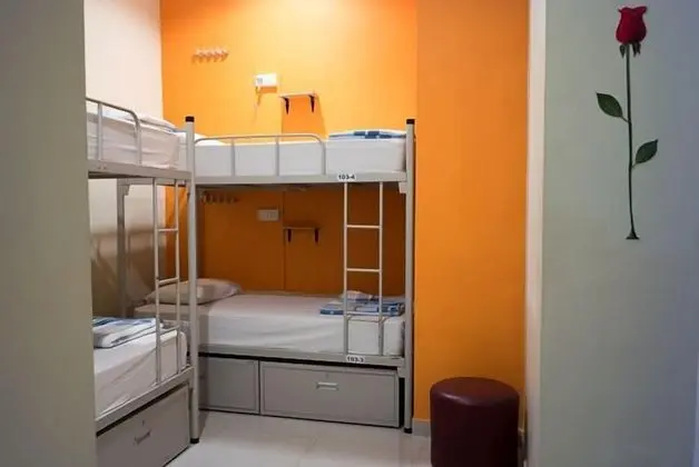 Ortak Ranzalı Oda, Karma Ranzalı Oda (4 Persons with Private Bathroom)