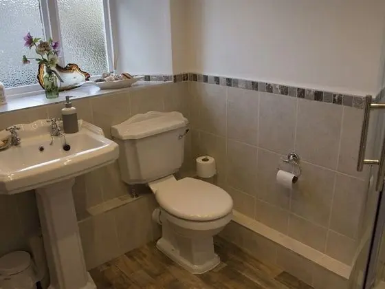 Comfort Tek Büyük veya İki Ayrı Yataklı Oda, Banyolu/Duşlu