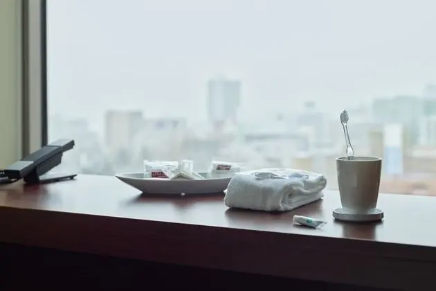 Standard Tek Büyük Yataklı Oda, Sigara İçilmez