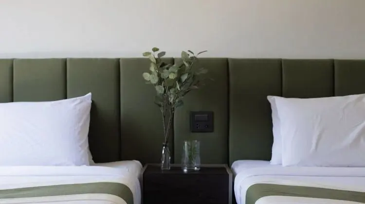 Deluxe İki Ayrı Yataklı Oda, Balkon