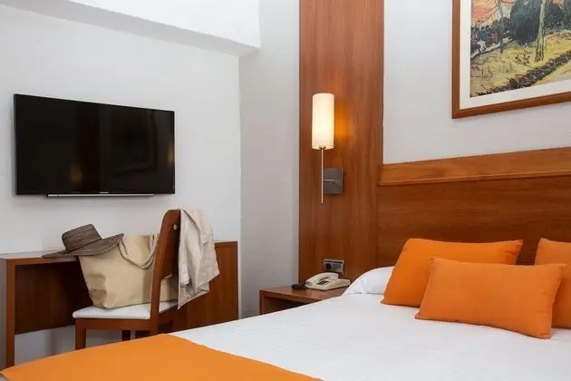 Economy Tek Büyük Yataklı Oda (Low-cost)