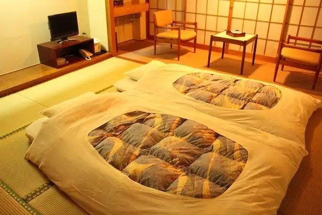 Traditional Oda, Okyanus Manzaralı (4 Occupancy)