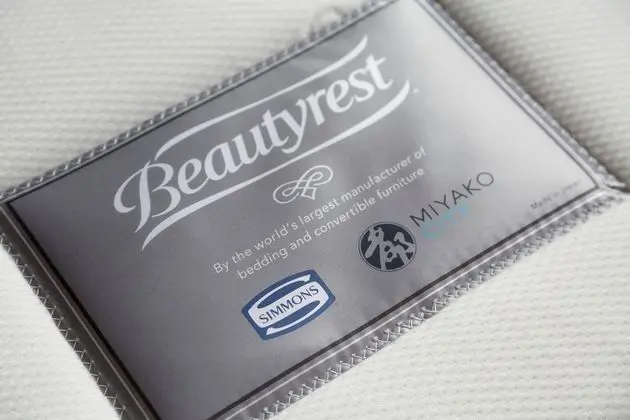 Superior Tek Büyük Yataklı Oda (15-16F Premium Floor)