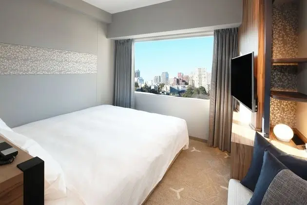 Comfort Tek Büyük Yataklı Oda, 1 En Büyük (King) Boy Yatak, Sigara İçilmez (King Bed)